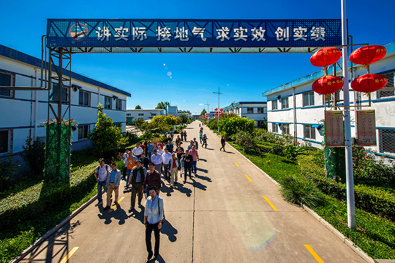 廠(chǎng)區(qū)風(fēng)光（三）